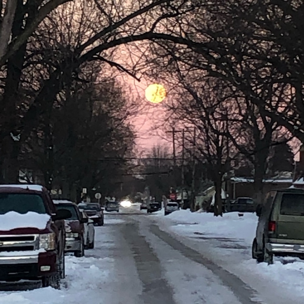 Meet your Posher, Rarashelle